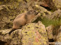 2025-06-07 Aiguille de Tortisse 172